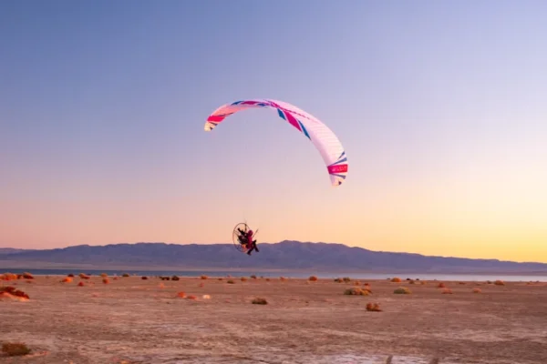 ITV WINGS WASABI MOTOR